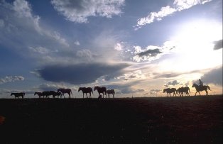 Скачать программу на русском языке с помощью которой можно рисовать